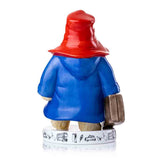 PADDINGTON COLOURWAY PLEASE LOOK AFTER ME