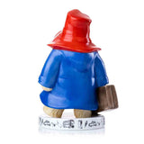 PADDINGTON COLOURWAY PLEASE LOOK AFTER ME